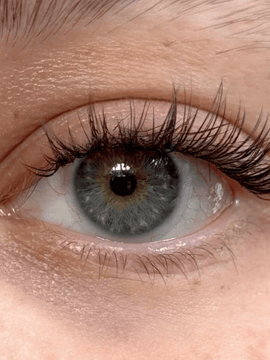 Flaw Lash – Mini Box (Classic DIY)
