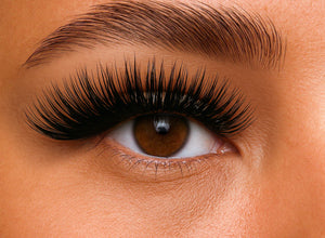 GirlGotLashes Künstliche Wimpern Sassy Mess