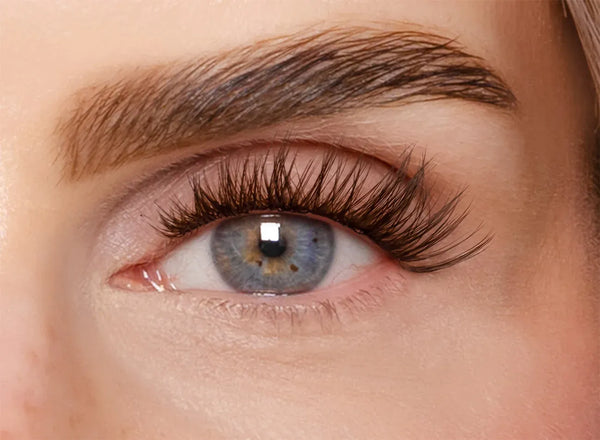 Soft Brown Edition – Classic DIY