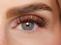 Soft Brown Edition – Classic DIY