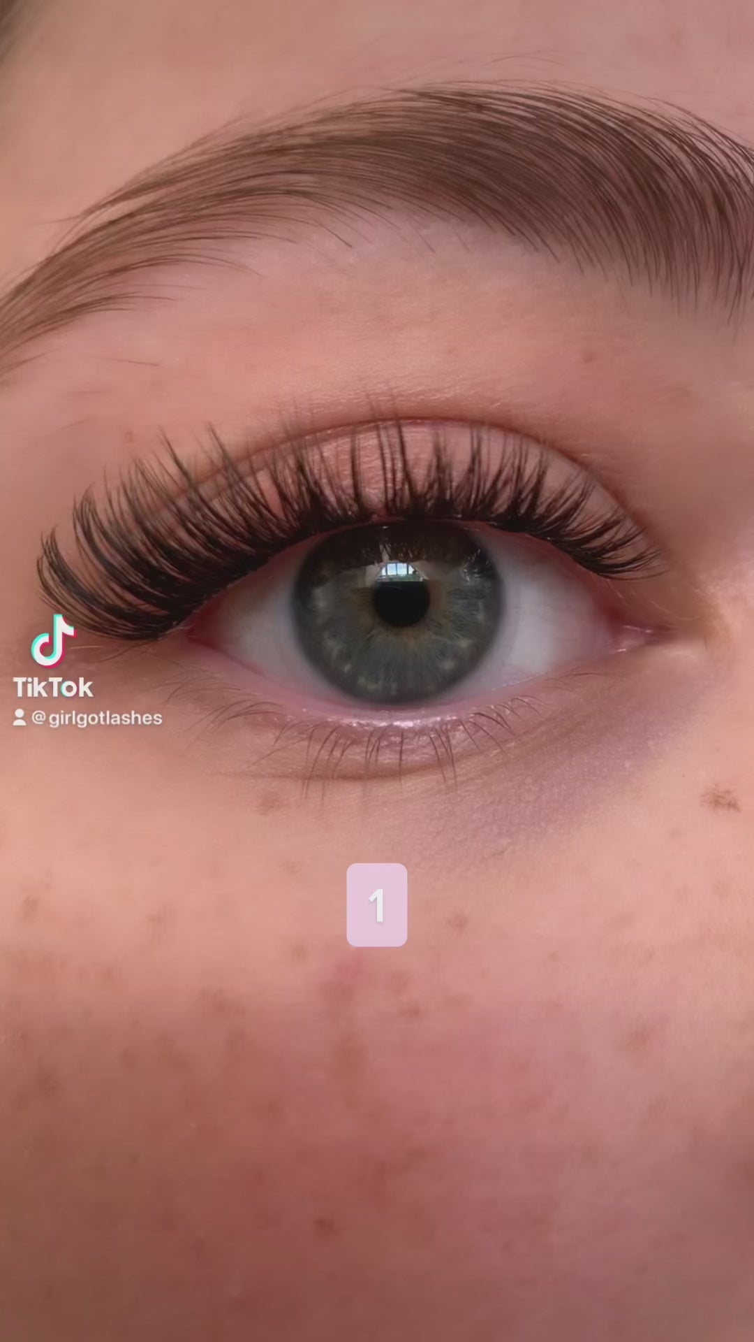 Cat Eye Edition - Mini Boxen