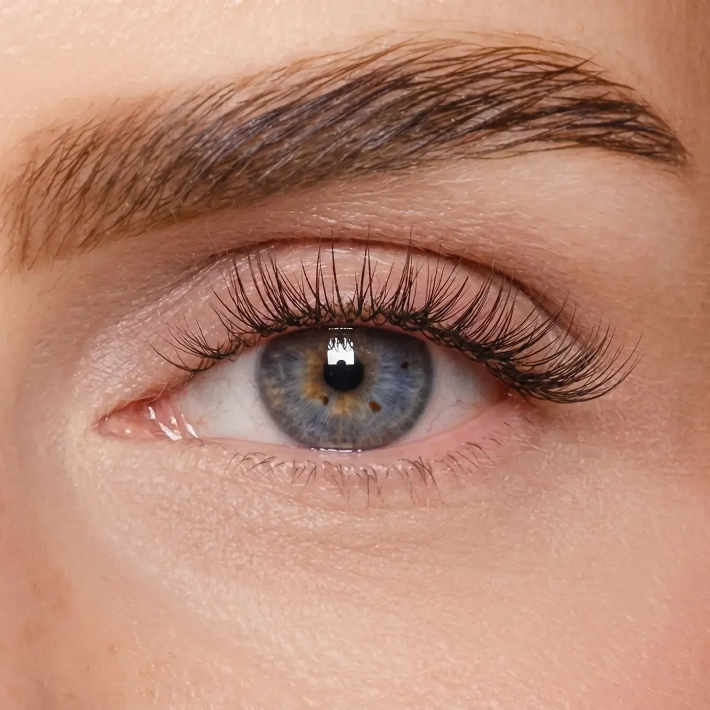 DIY Wimpernsegmente – Volume 2 (Pre-Glued 2.0)