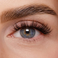 DIY Wimpernsegmente – Volume 3 (Pre-Glued 2.0)