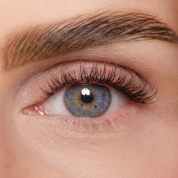 DIY Wimpernsegmente – Volume 3 (Pre-Glued 2.0)